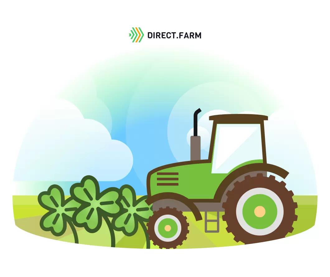 Обработка поля под посев клевера