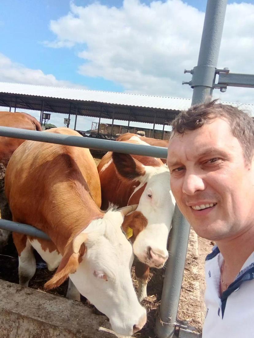 Работа в животноводческом хозяйстве Орловской области. Внедрение кормовых