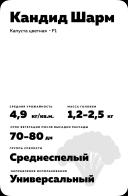 Кандид Шарм (CANDID CHARM) гибрид цветной капусты