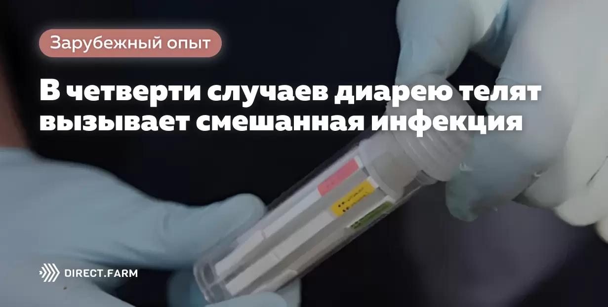 В четверти случаев диарею телят вызывает смешанная инфекция