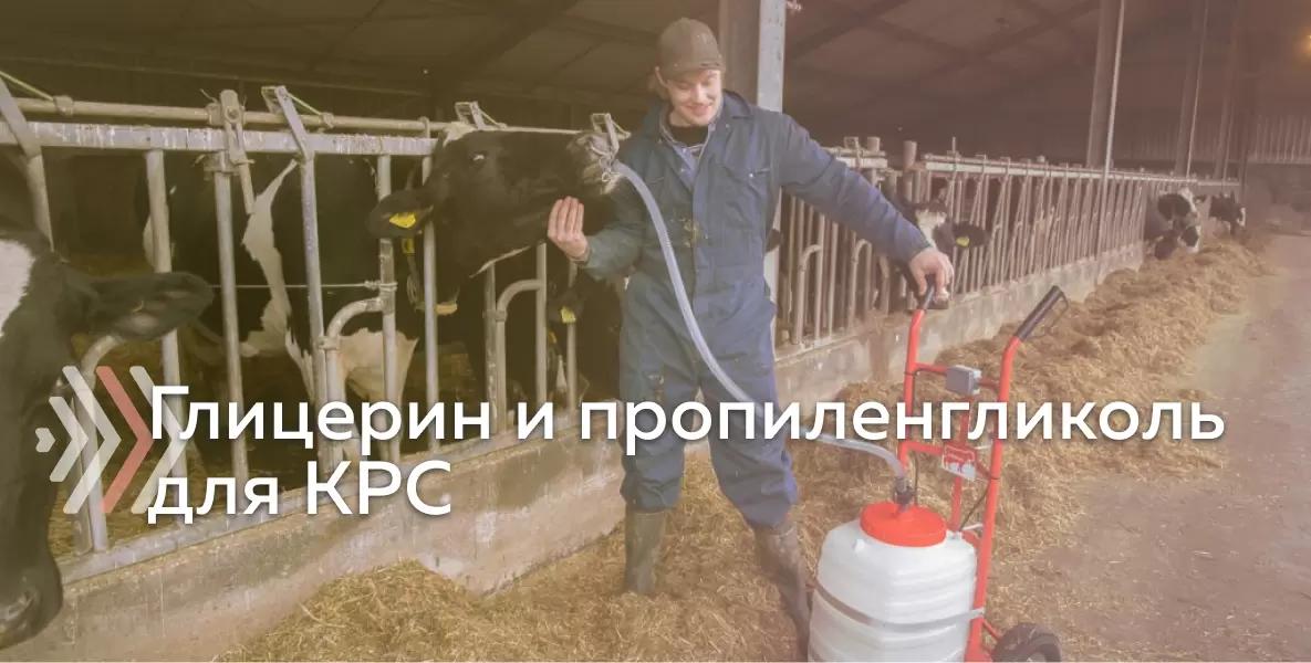 Использование глицерина и пропиленгликоля в работе с КРС