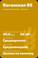 Баганская 95 сорт пшеницы яровой мягкой