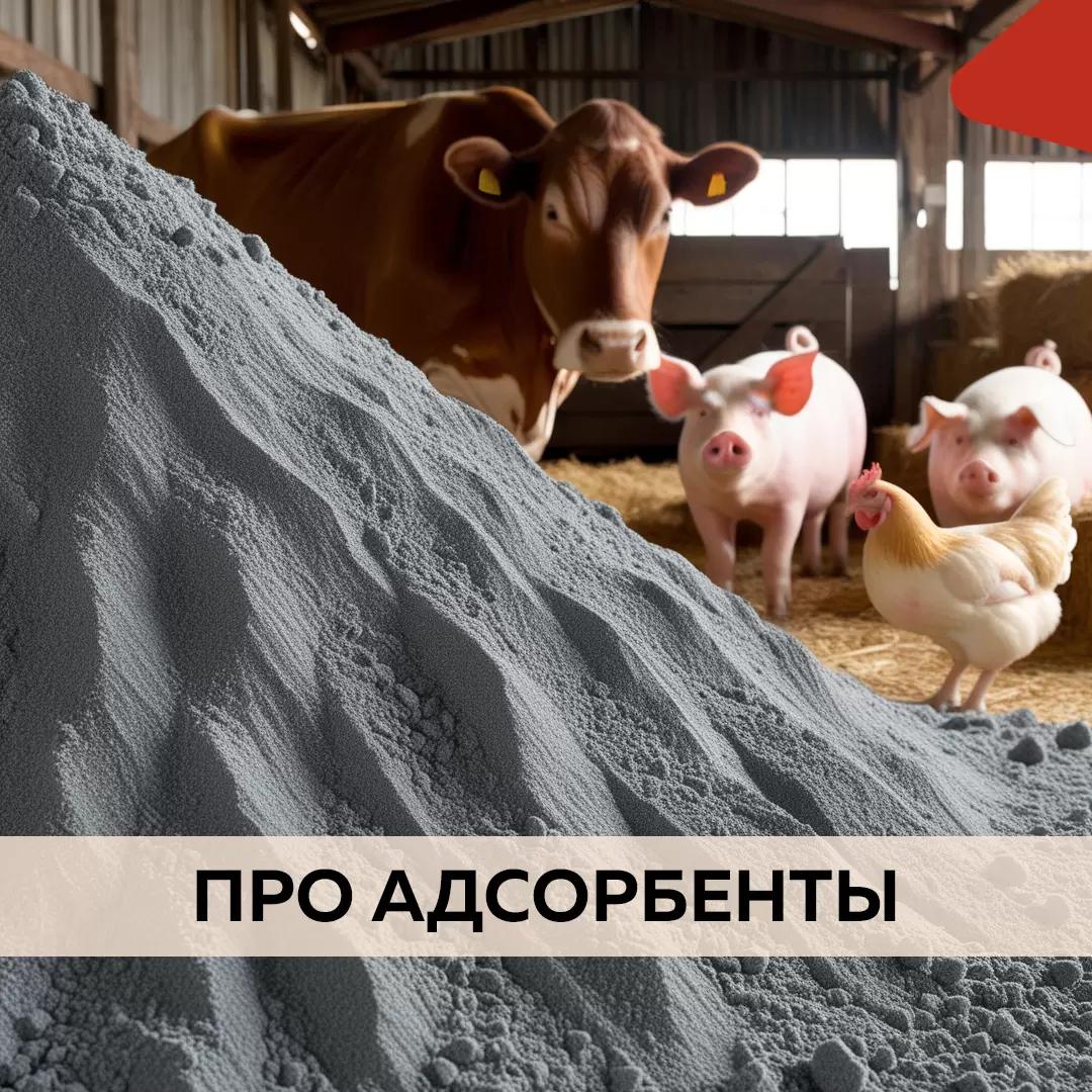 Про адсорбенты