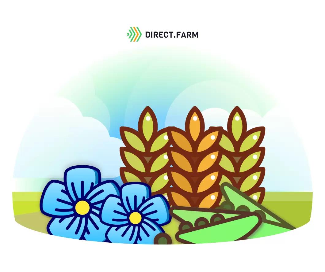 Севооборот по системе No-Till