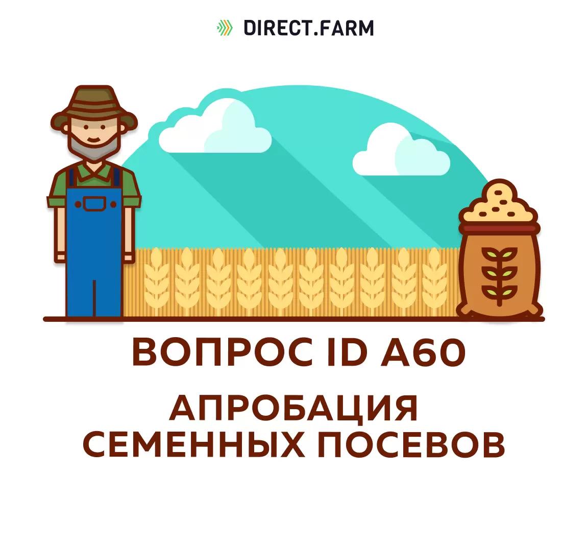 Можно ли проводить апробацию семенных посевов самостоятельно?