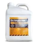 Голден Ринг, ВР