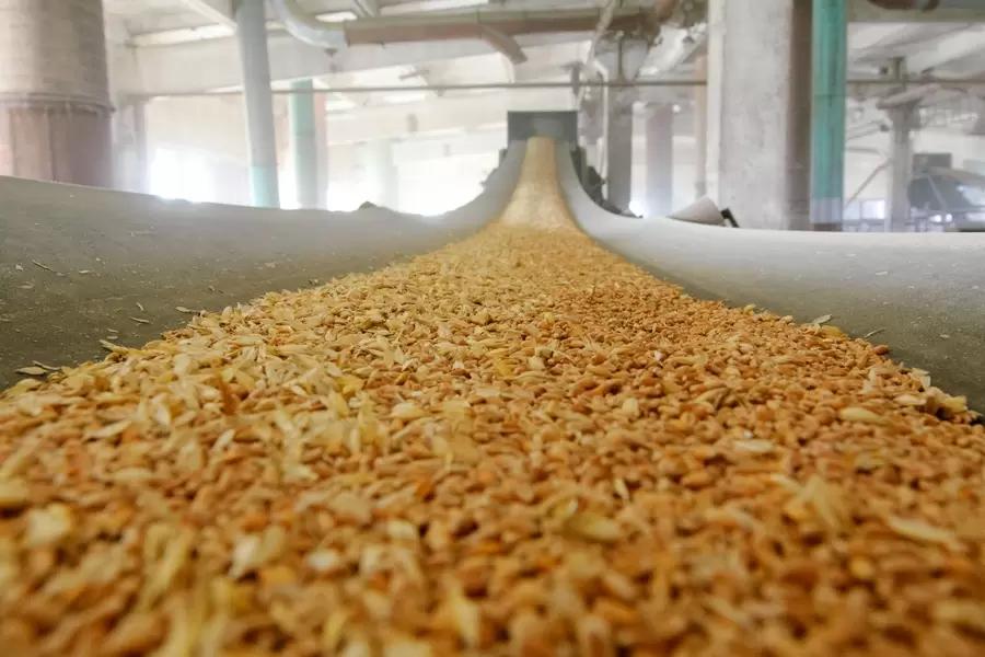 Россия экспортировала в страны Африки и Азии 10,5 миллиона тонн зерна
