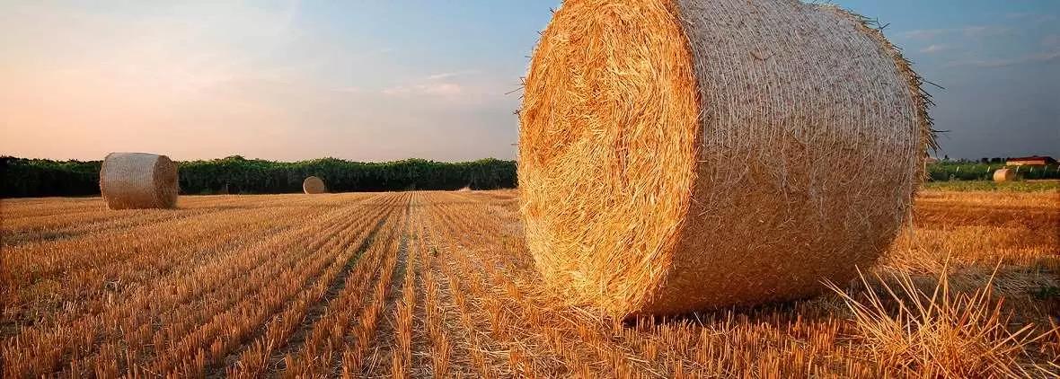 Потребность АПК РФ в финансировании составляет не менее 900 млрд рублей в год