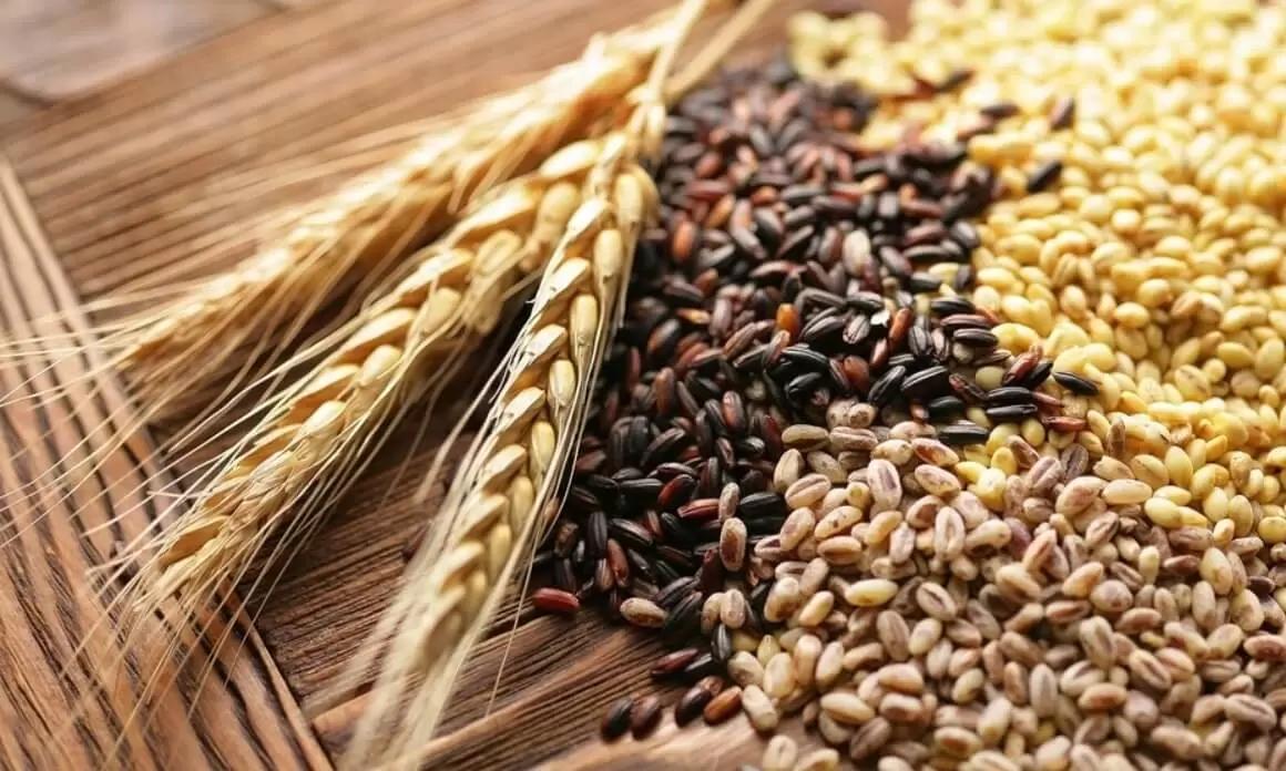 Россельхознадзор: В 2022 г. в РФ выявлено 15% некачественной зерновой продукции