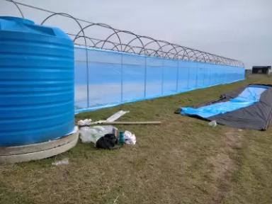 Инновационная технология выращивания винограда