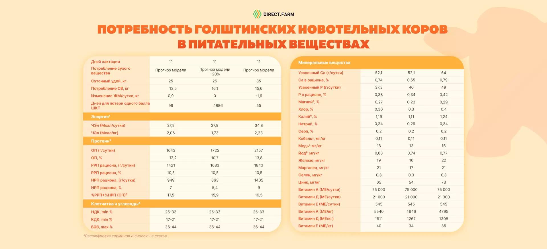 Потребность новотельных голштинских коров в питательных веществах