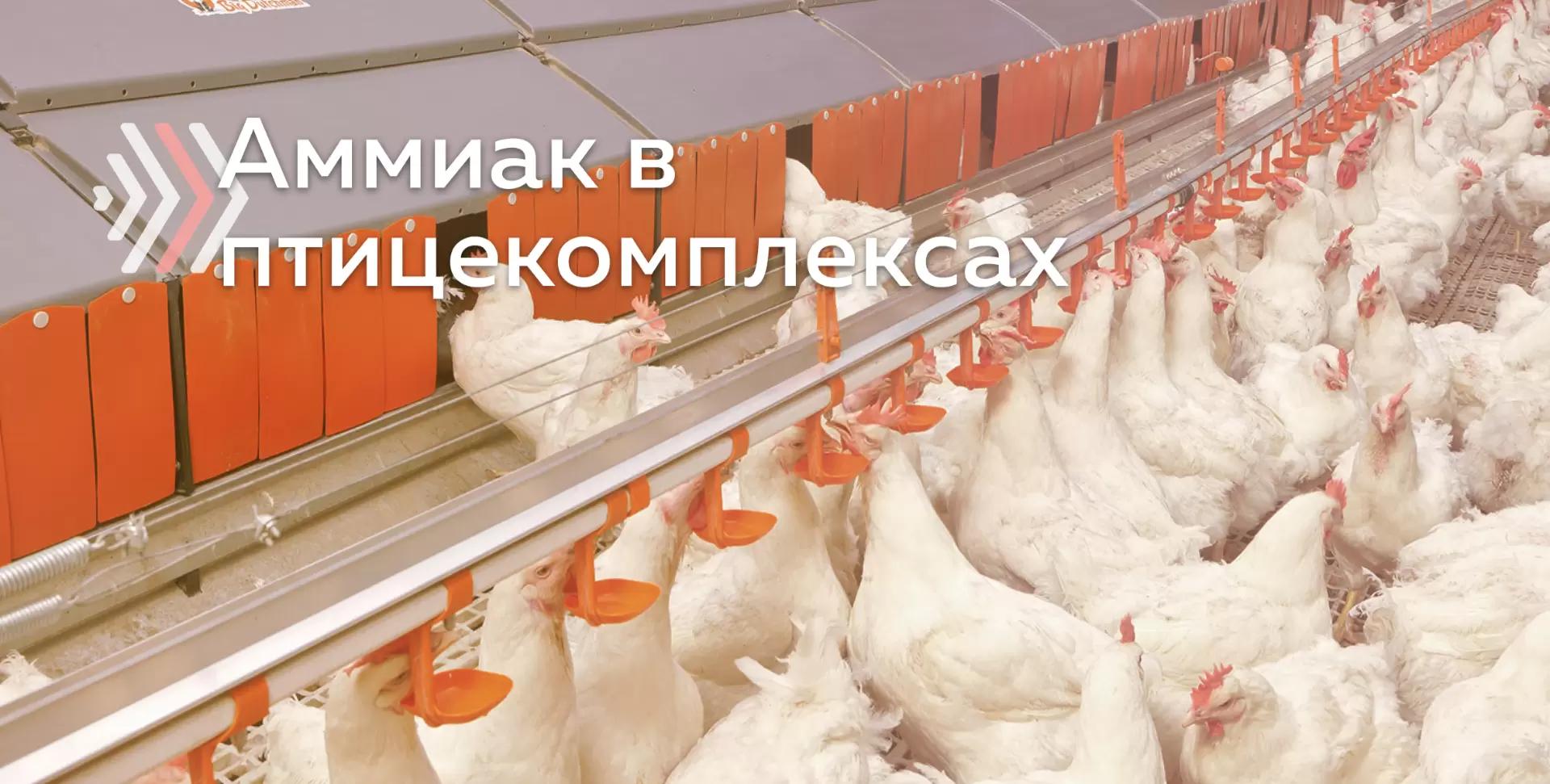 Способы снижения эмиссии аммиака в птицеводческих комплексах