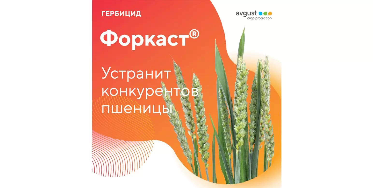 Новый гербицид для защиты озимой пшеницы