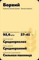 Борвий сорт пшеницы мягкой озимой