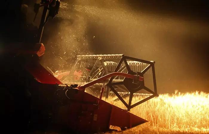 Абрамченко заявила о проработке вопроса отмены экспортной квоты на зерно