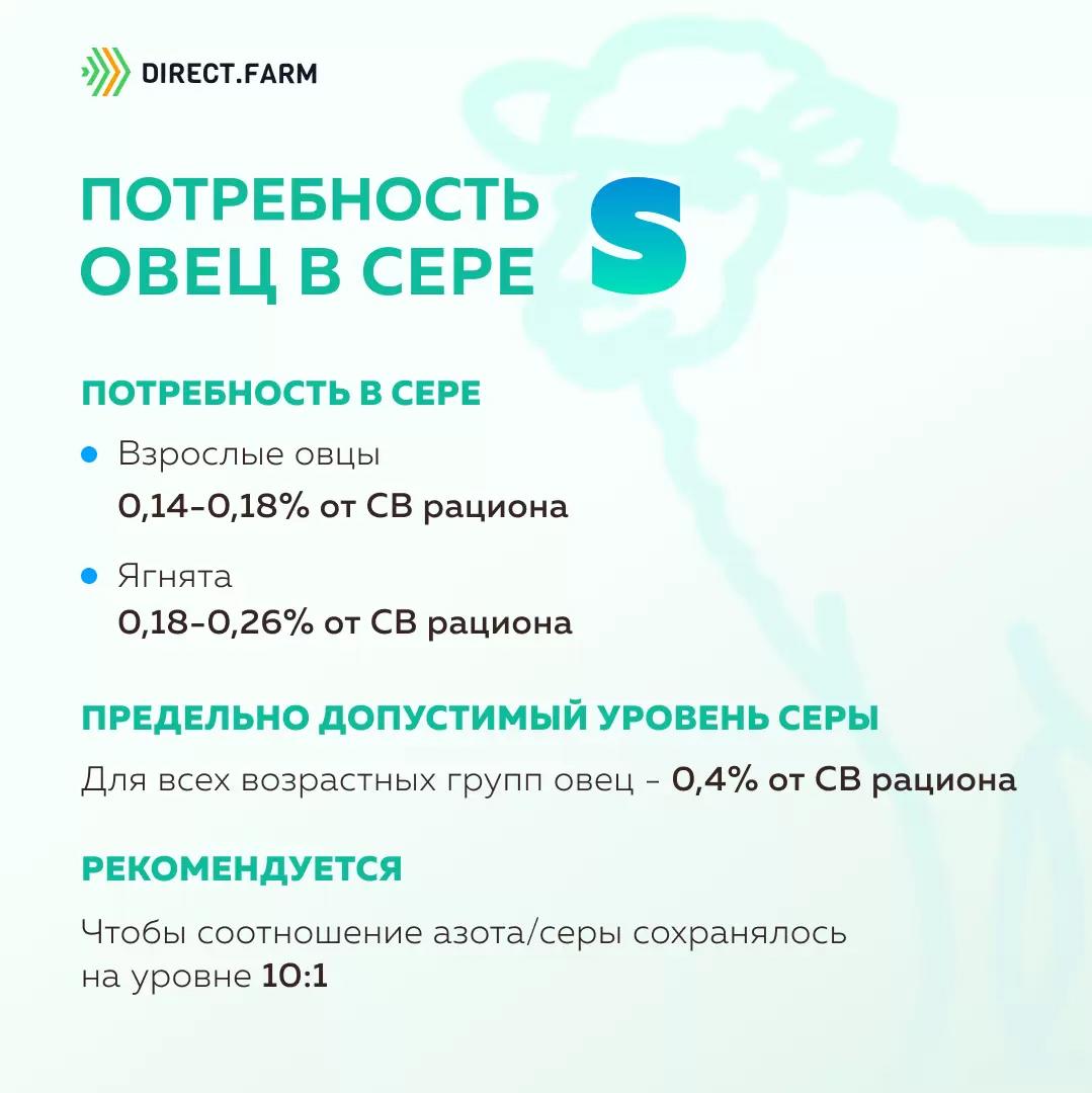 Потребность овец в сере