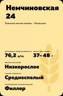 Немчиновская 24 сорт мягкой озимой пшеницы