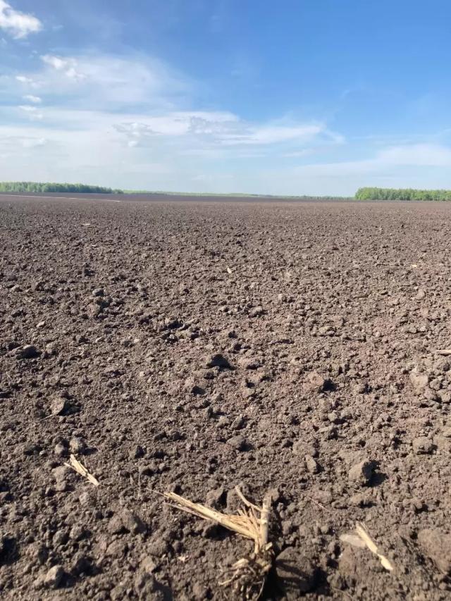 Аграрий спокойный и культурный. Возможно ли?