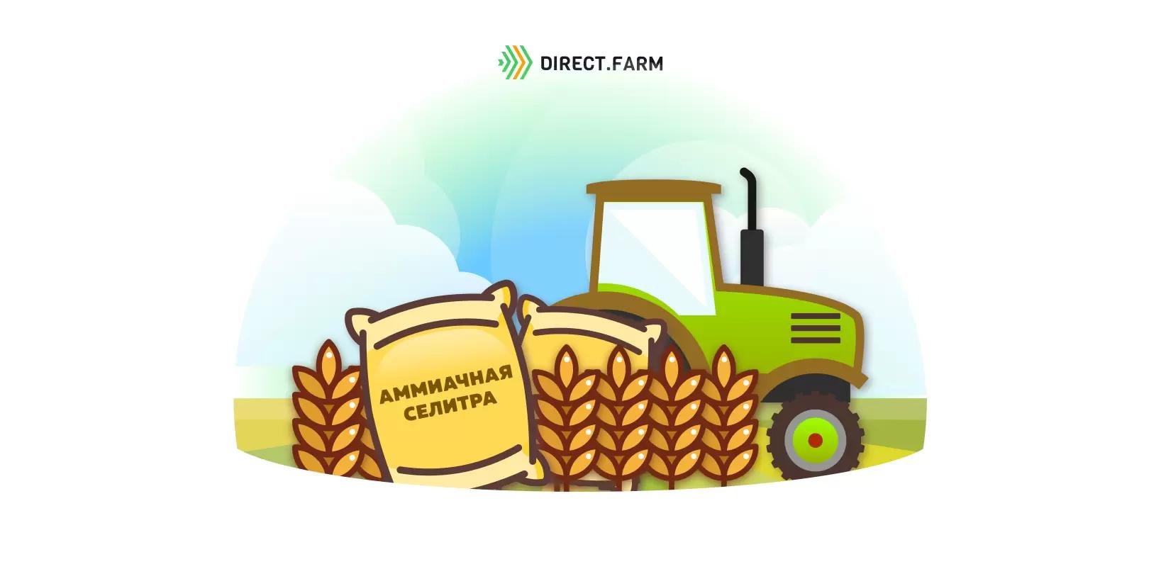 Внесение аммиачной селитры перед посевом пшеницы