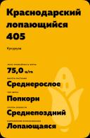 Краснодарский лопающийся 405