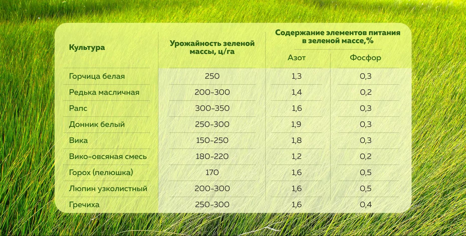 Какой сидерат посеять?
