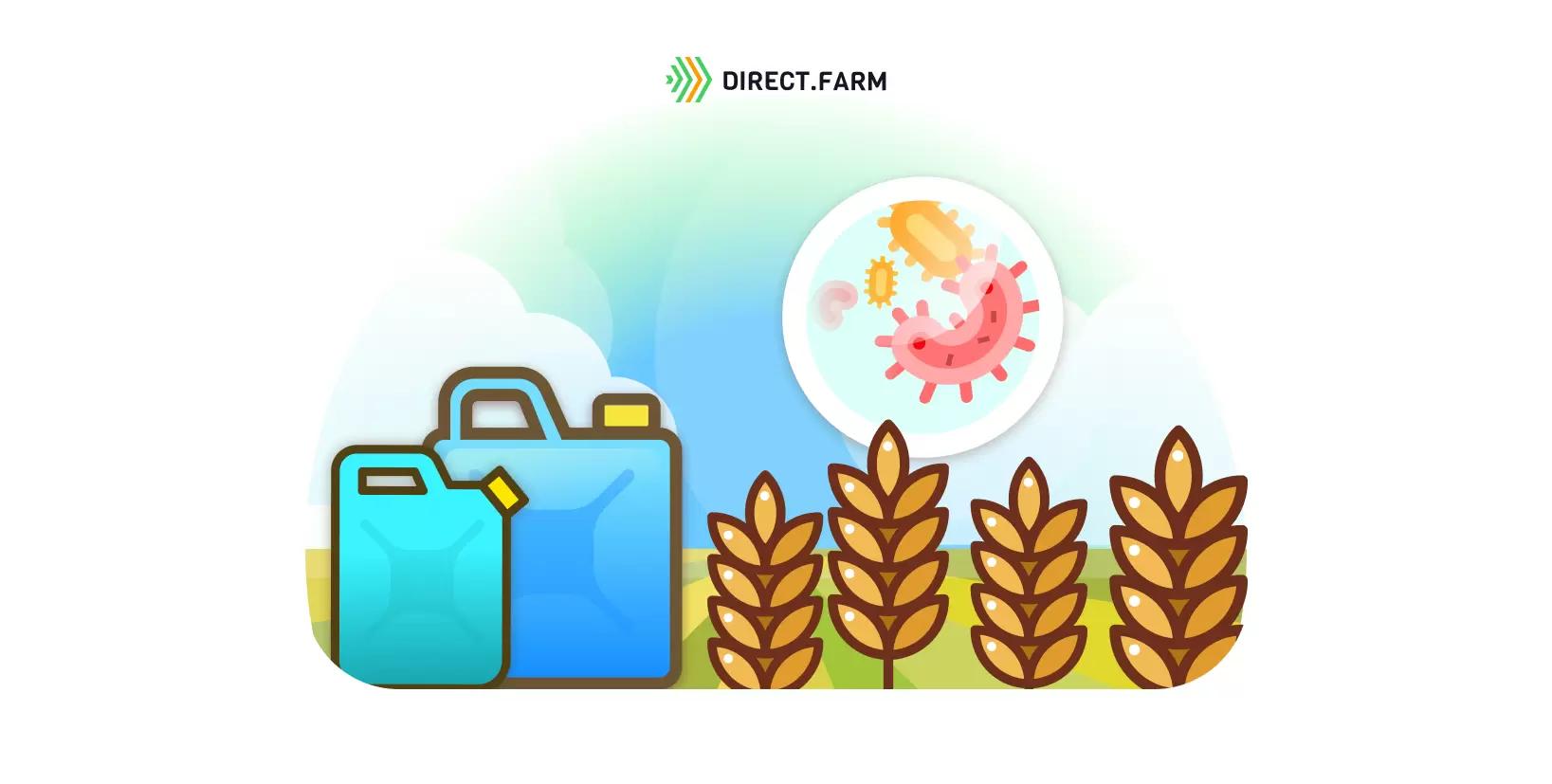 Гербицид вместе с фунгицидом на озимой пшенице