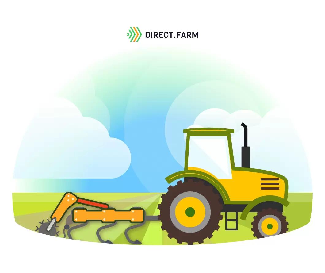 Есть ли плюсы у сплошного посева под культиваторную лапу?