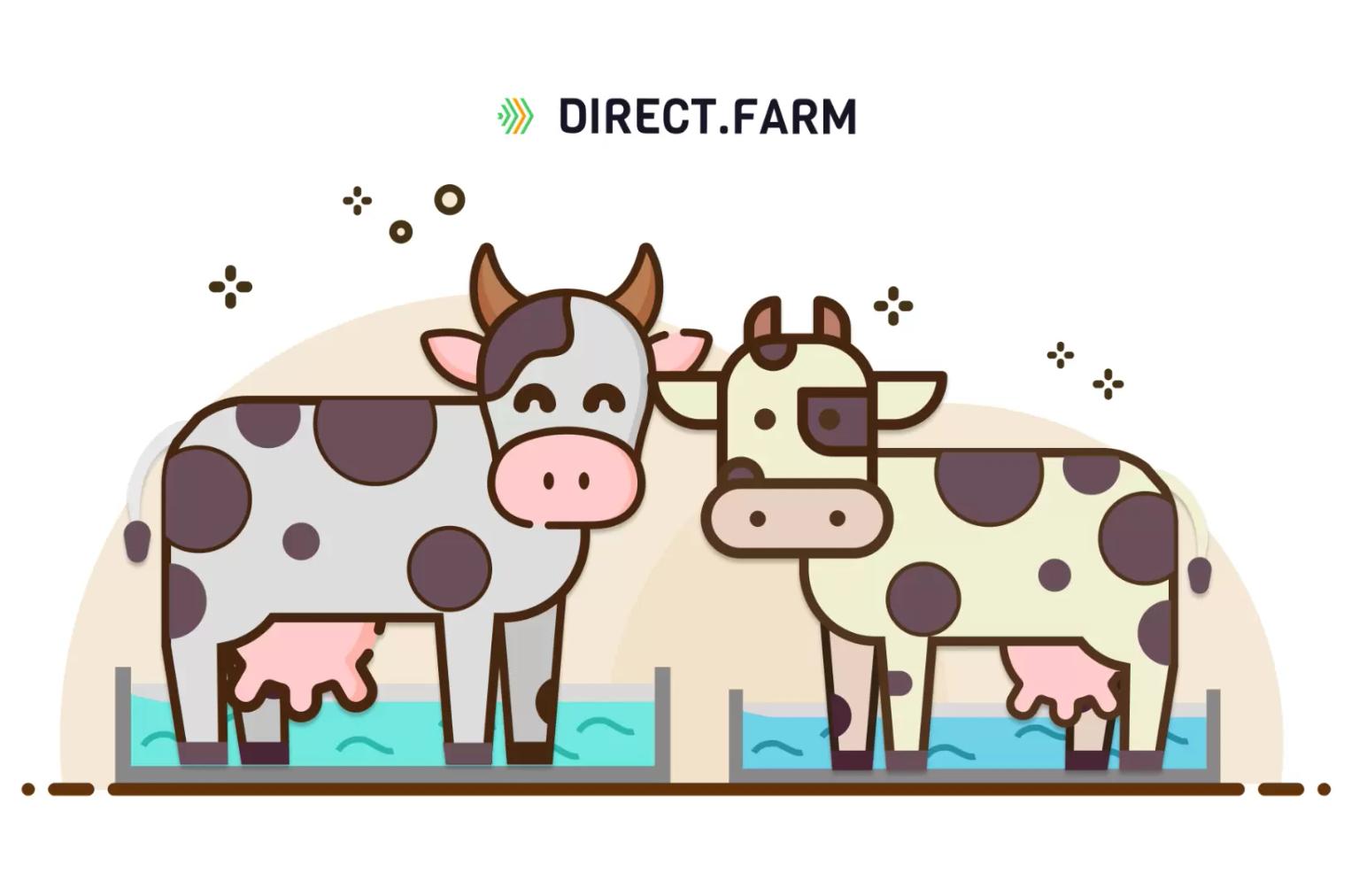 Что необходимо учесть при устройстве копытных ванн?