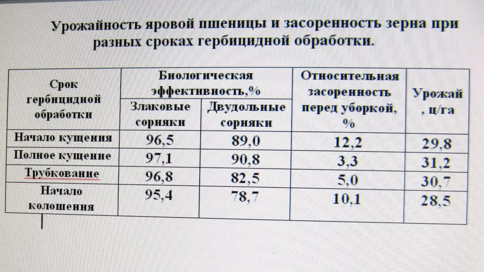 Эффективность гербицидной обработки яровой пшеницы