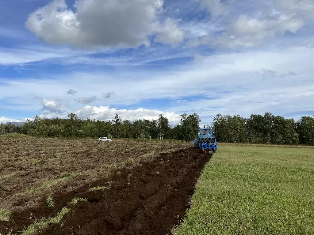 Пересвет ПОН4+1