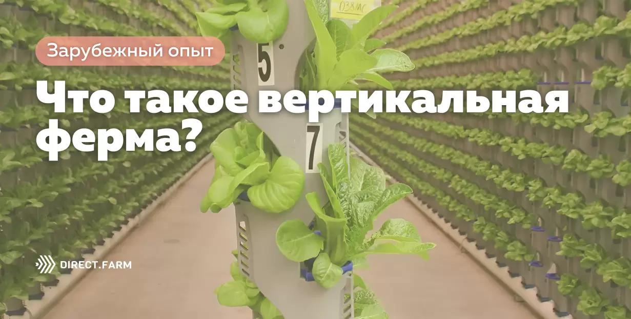 Что такое вертикальная ферма?