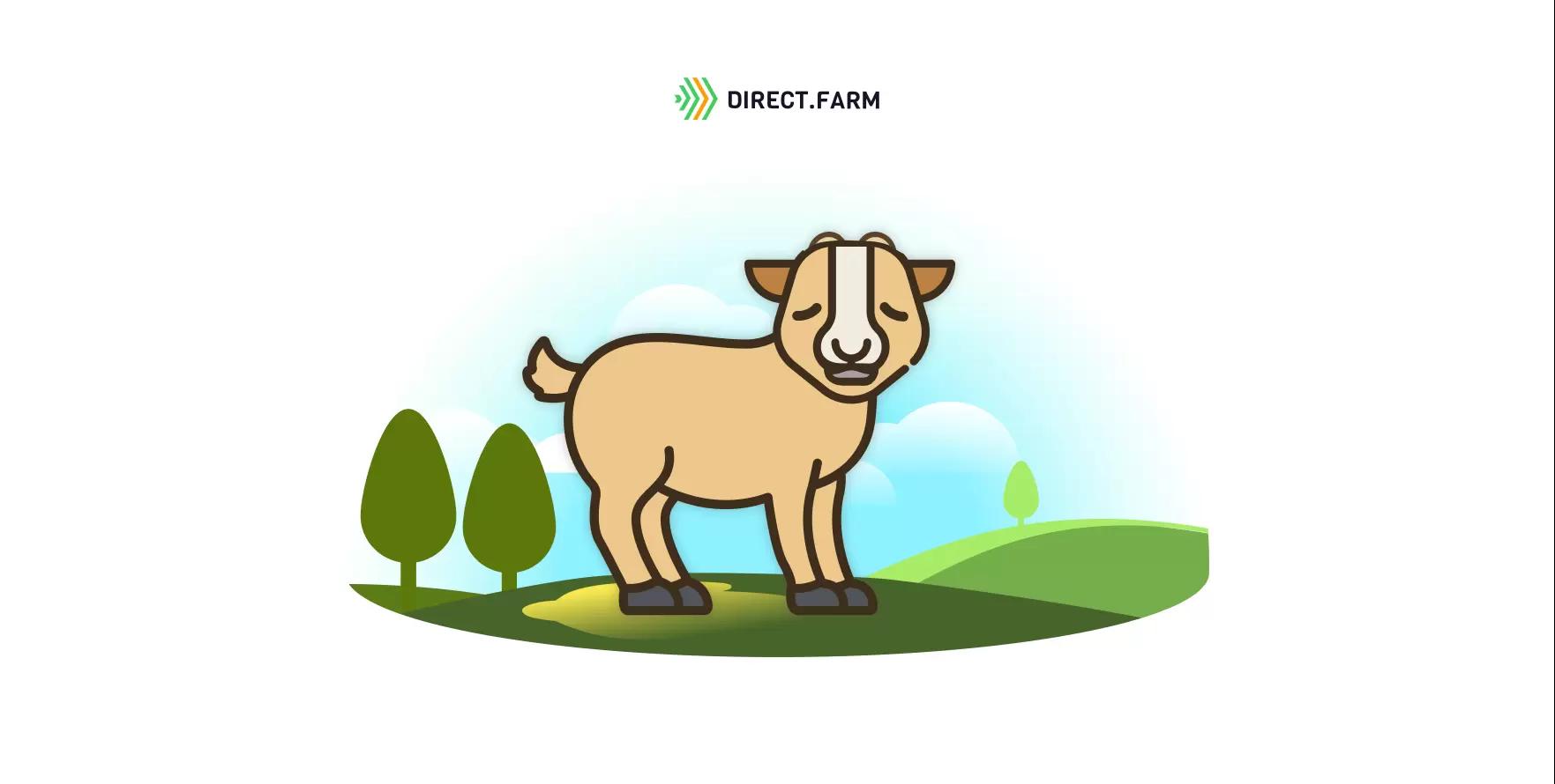 Из-за чего у новорожденной козочки проблемы с мочеиспусканием?