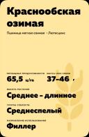 Краснообская озимая