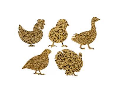 КОРМА ДЛЯ С/Х ПТИЦЫ