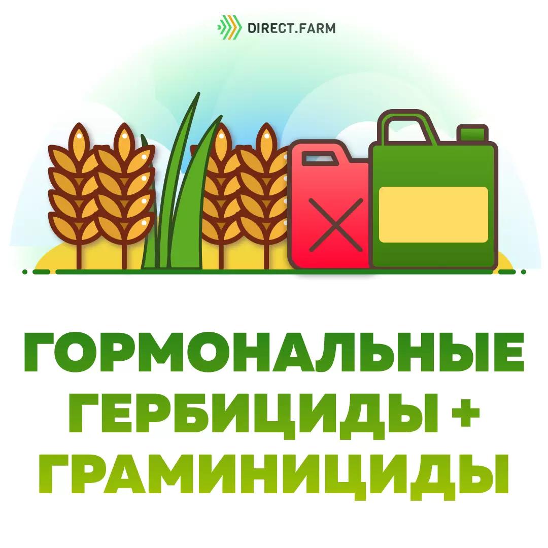 Гормональные гербициды снижают эффективность граминицидов?