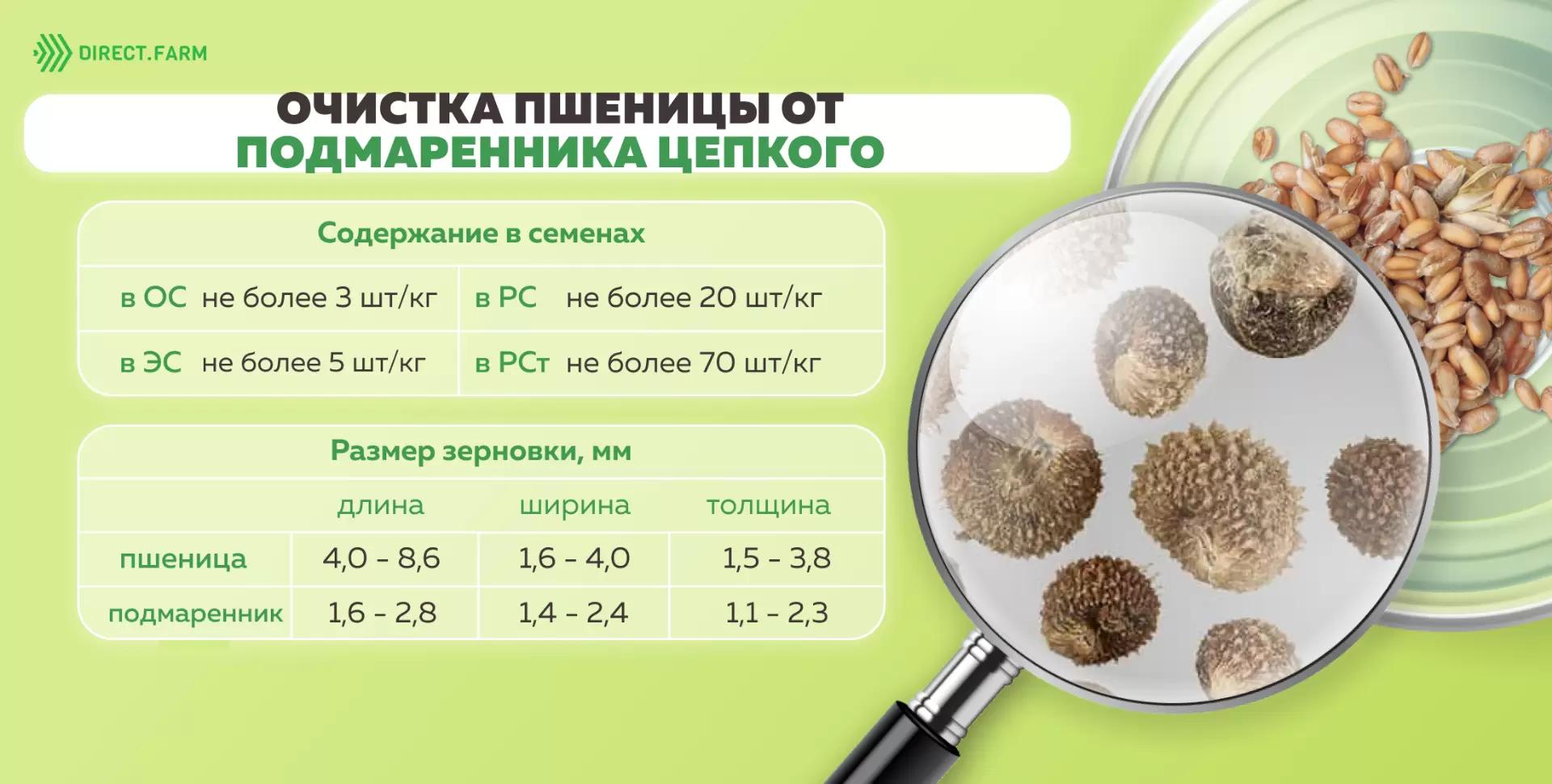 Очистка пшеницы от подмаренника цепкого