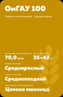 ОмГАУ 100 сорт пшеницы яровой
