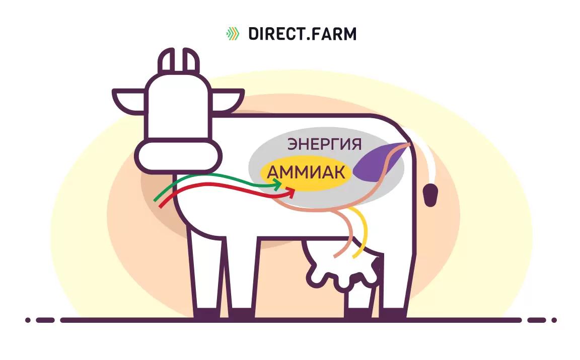 Синхронизация рубца