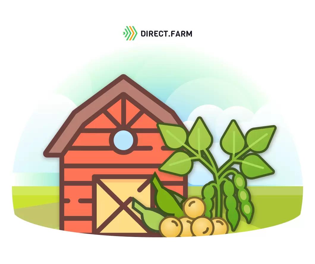 Как хранить семена сои?