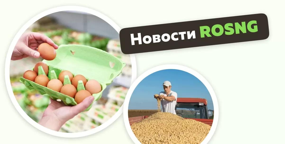 Обзор новостей за 4-5 мая