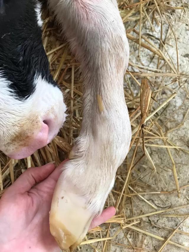 “Эстафета ответов”