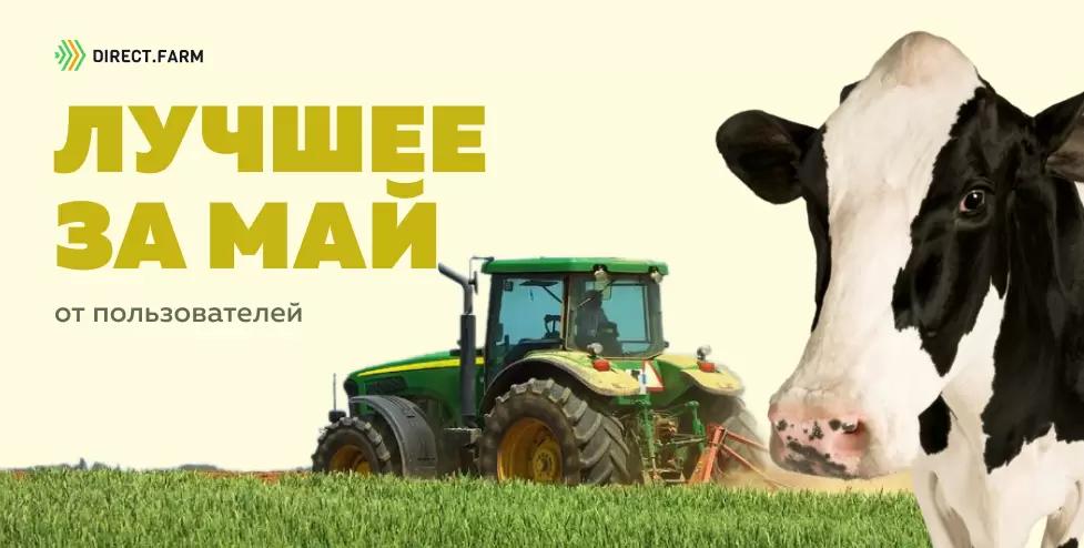 Топ-постов от пользователей DF за май