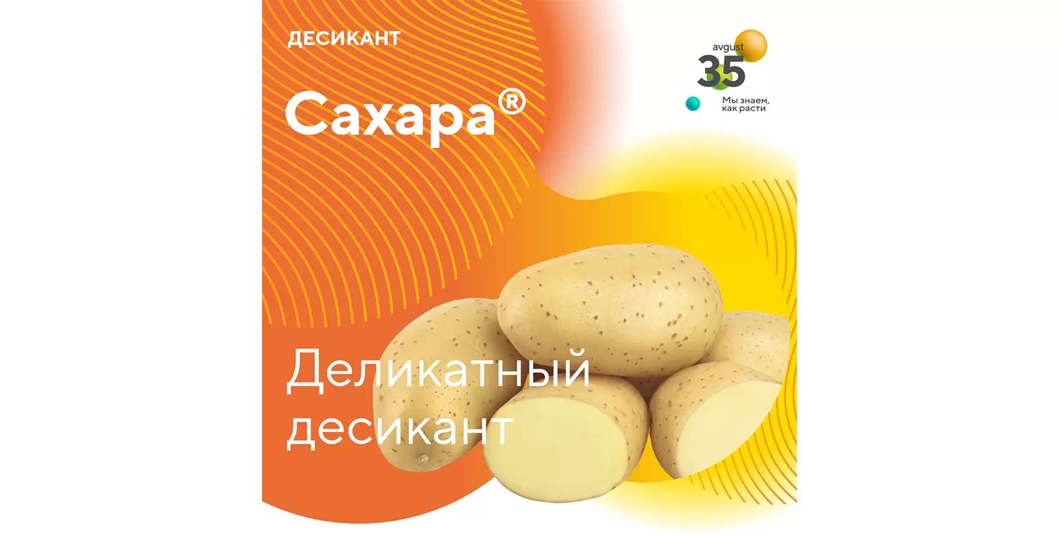 Сахара® – десикант и гербицид