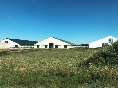 Молочно-товарная ферма на 1200 голов дойного стада