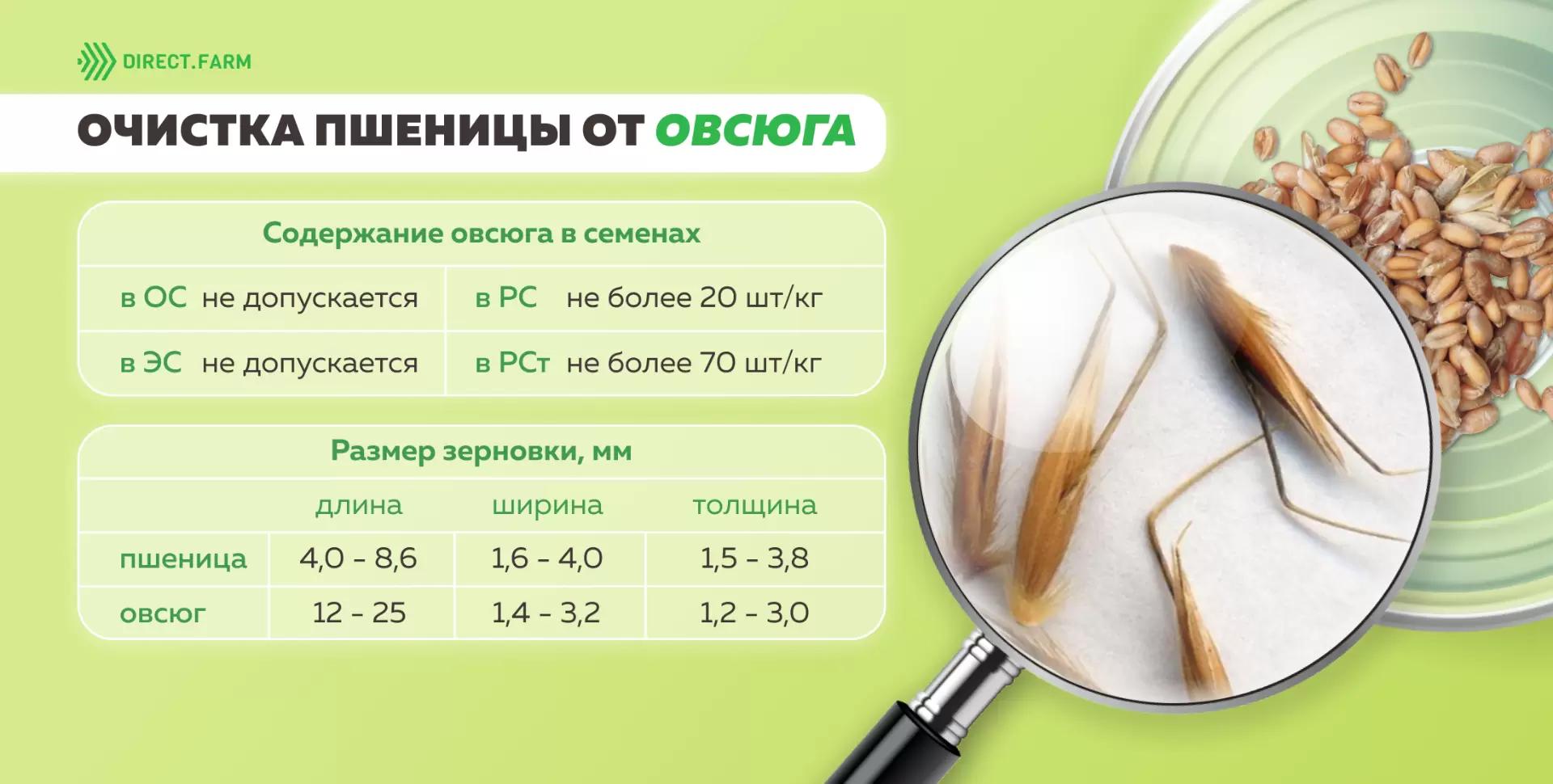 Очистка пшеницы от овсюга