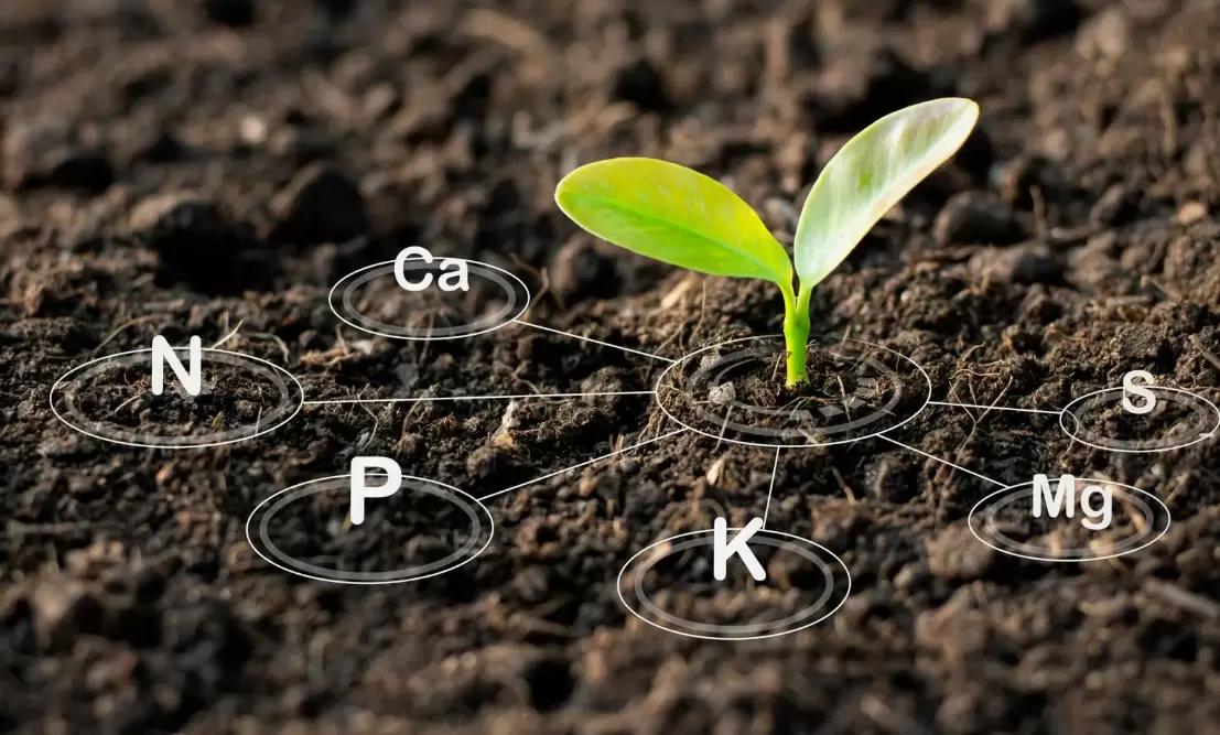 Нужна ли аграрию агрохимия почвы