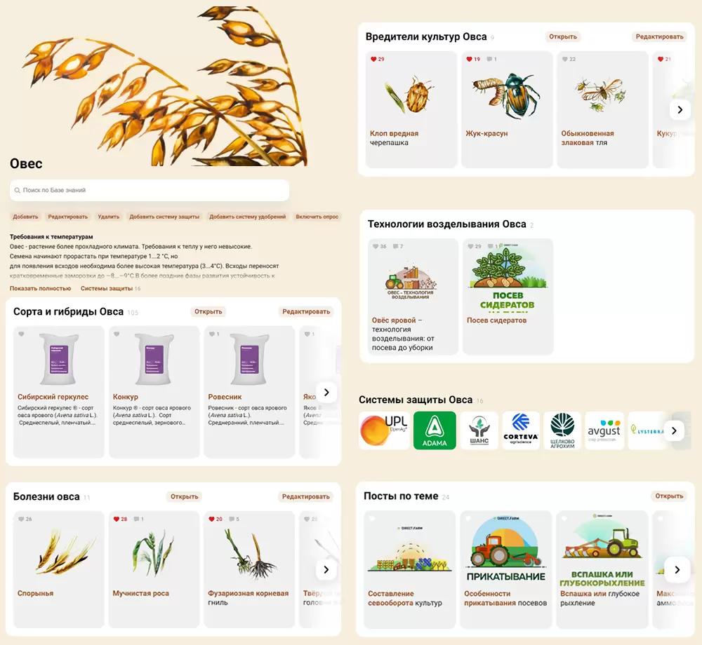 Овёс: сорта, болезни, вредители, технологии