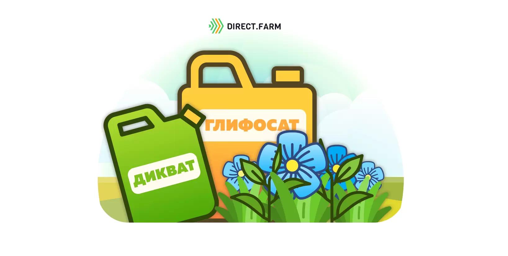 Как бороться с марью в посевах льна?