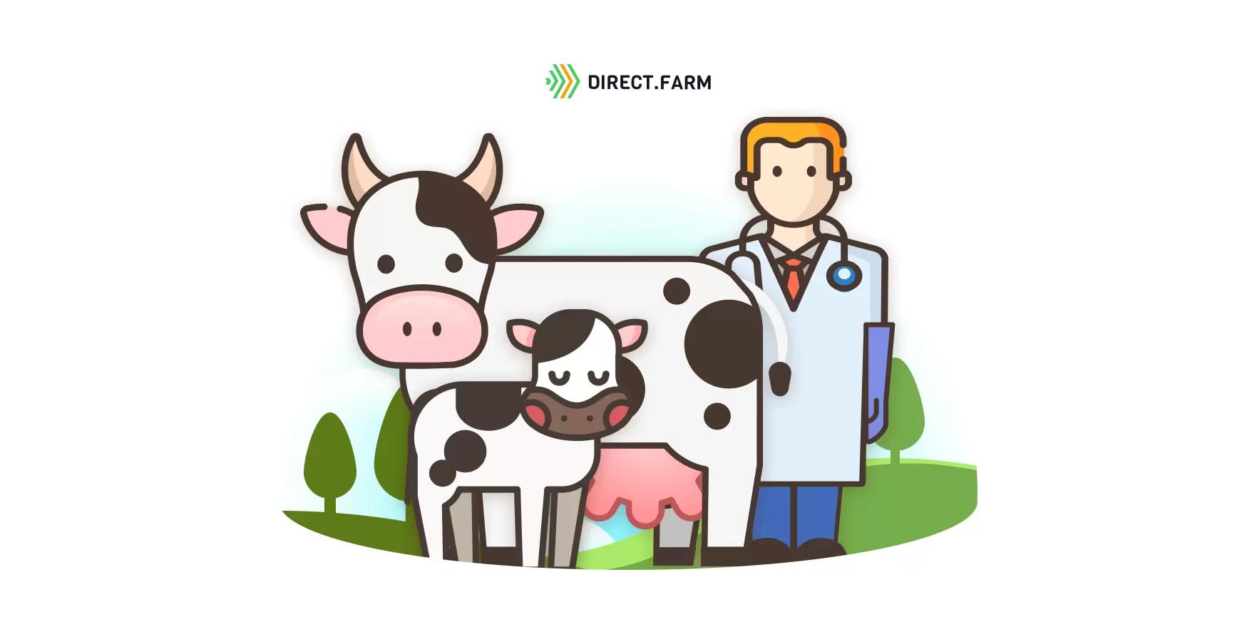 Болезни коров в транзитный период