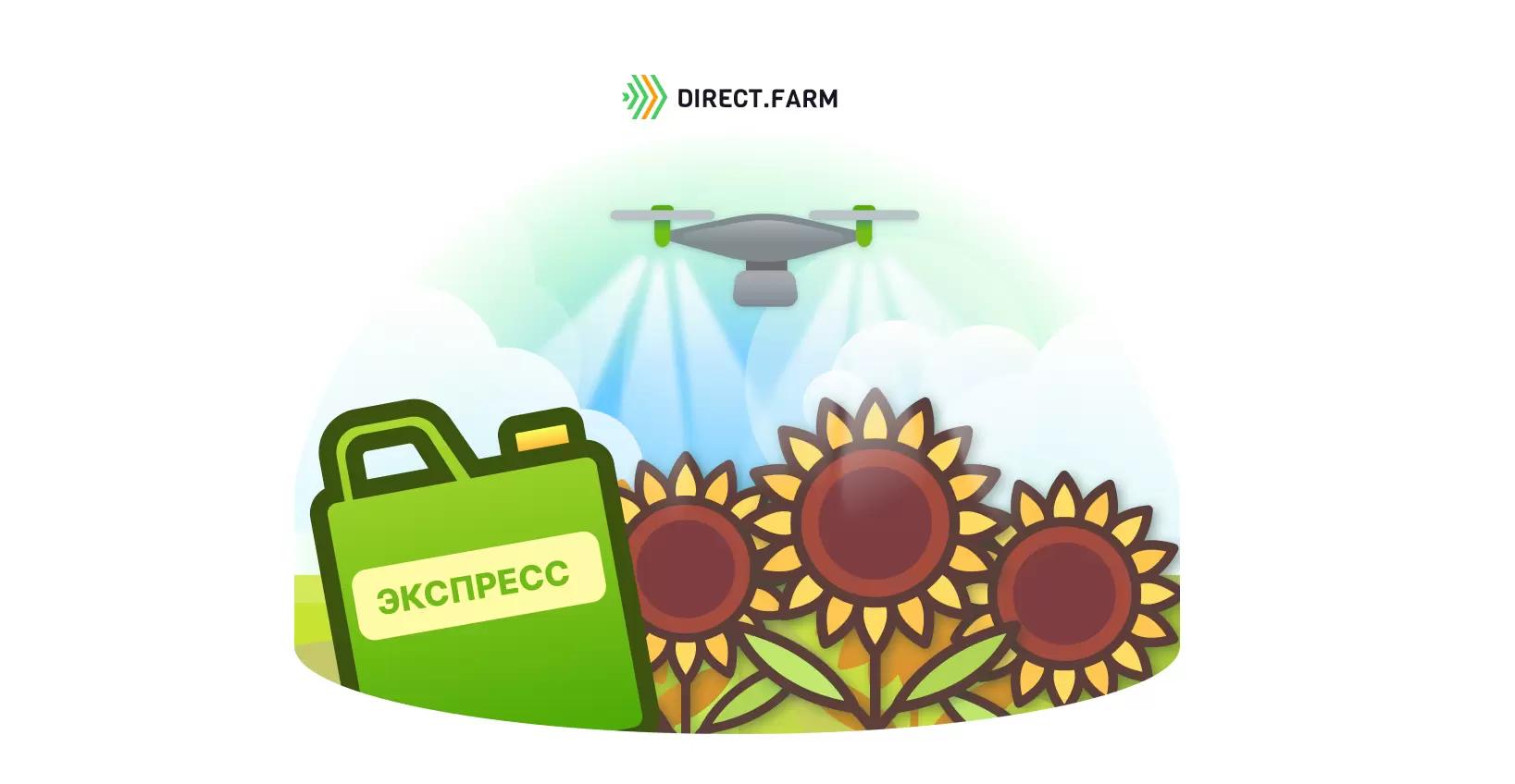 Можно ли оставить падалицу подсолнечника экспресс на урожай?